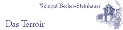 Das Terroir von Weingut Becker-Steinhauer