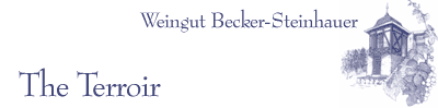 Das Terroir von Weingut Becker-Steinhauer